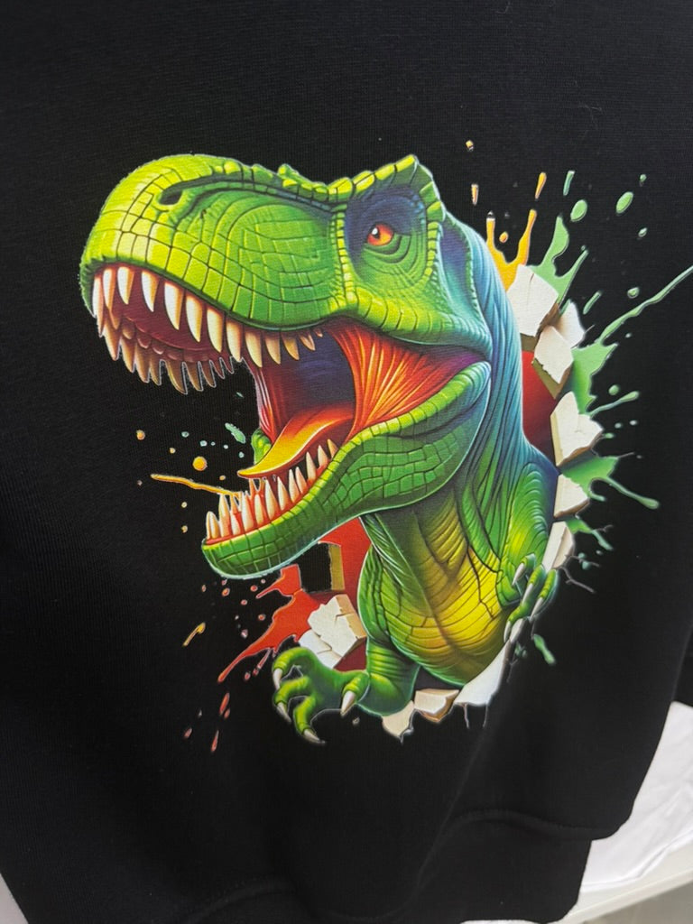 Pullover T-Rex – Gr. 110